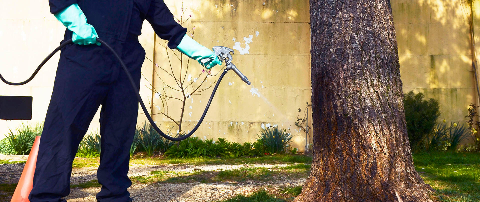 A Man with Chain Saw Machine who is professional arborist Tree Service Yuba City Ca